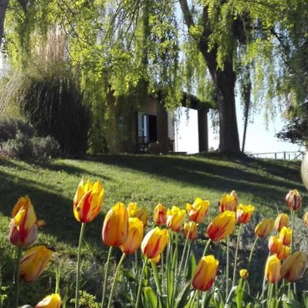 Vila Agriturismo Quartopodere Magliano in Toscana Exteriér fotografie