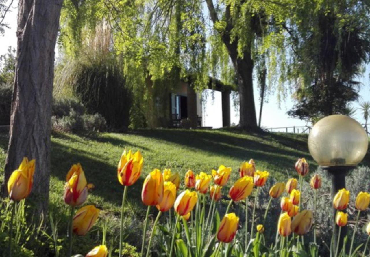 Vila Agriturismo Quartopodere Magliano in Toscana Exteriér fotografie