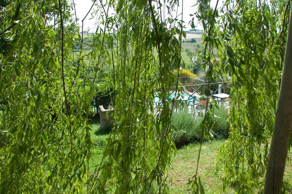 Agriturismo Quartopodere Magliano in Toscana Exteriér fotografie