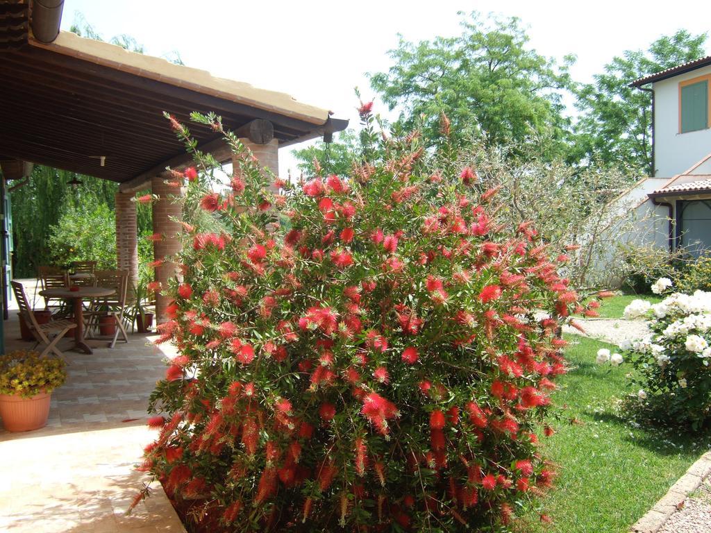 Agriturismo Quartopodere Magliano in Toscana Exteriér fotografie